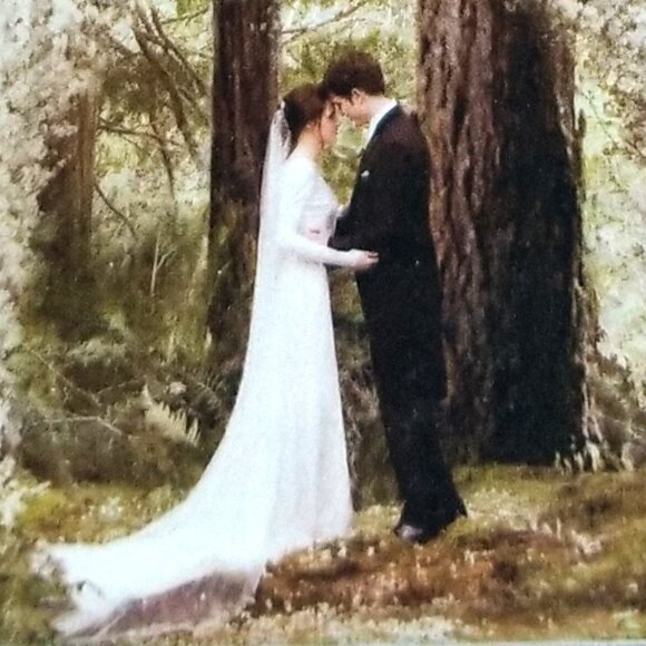 "Breaking Dawn: The Twilight Saga - Part 1" Blu-ray, Special Edition Video - Picture 9 of 11